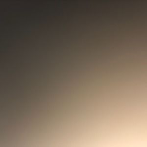 Meet your Posher, Hayley